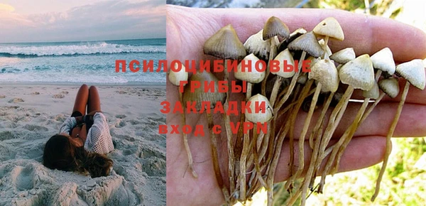 ешки Армянск