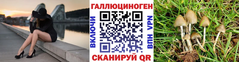Галлюциногенные грибы Cubensis  Починок 